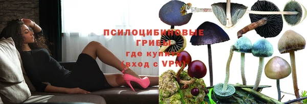сатива Баксан